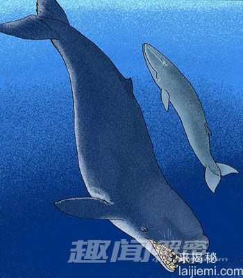 恐龙弱爆了！十大已灭绝的远古巨型怪物3 / 作者:UFO来啦 / 帖子ID:63798