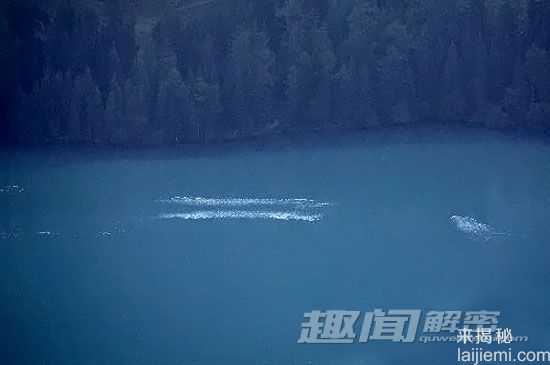 水怪揭秘：喀纳斯之袁国映的“水怪”发现748 / 作者:UFO来啦 / 帖子ID:64580