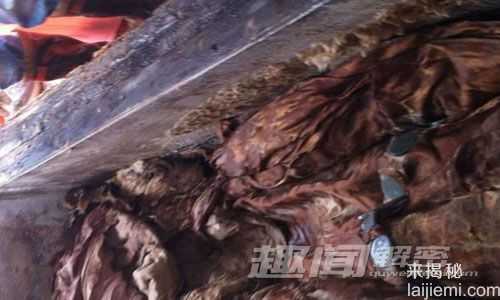 福州一小区建电梯竟挖出千年古墓(图)477 / 作者:UFO来啦 / 帖子ID:65325