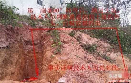 男子挖出巨型蚁穴：活捉30岁蚁后840 / 作者:UFO来啦 / 帖子ID:64981