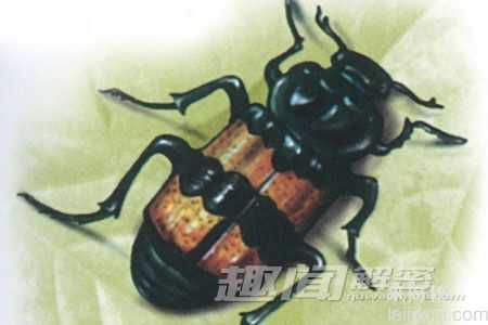 动物界最残忍母亲：吃掉自己亲身骨肉842 / 作者:UFO来啦 / 帖子ID:62389