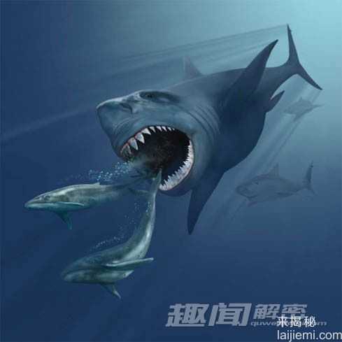 盘点全球八大消失的恐怖远古怪物(图)147 / 作者:UFO来啦 / 帖子ID:65093