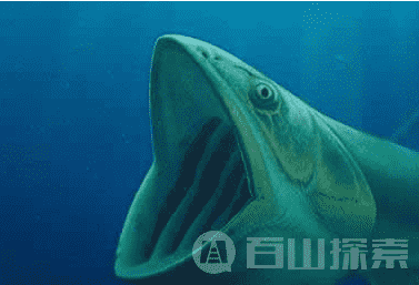 俄罗斯渔夫晒照 外星生物大集合898 / 作者:UFO来啦 / 帖子ID:61013