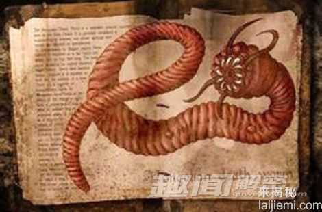 探究:蒙古神秘“死亡之虫”究竟存不存在?161 / 作者:UFO来啦 / 帖子ID:63908 探究:蒙古神秘“死亡之虫”究竟存不存在?161 / 作者:UFO来啦 / 帖子ID:63908