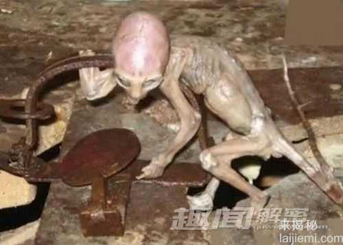 揭秘：全球最匪夷所思12大谜团489 / 作者:UFO来啦 / 帖子ID:64027