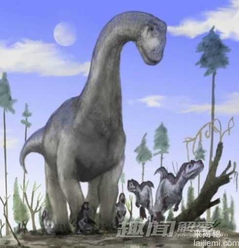 前所未闻！地球上25个奇异的史前生物_151 / 作者:UFO来啦 / 帖子ID:62414