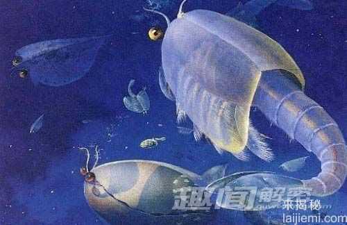 举世罕见化石宝库 证实寒武纪大爆发896 / 作者:UFO来啦 / 帖子ID:61926