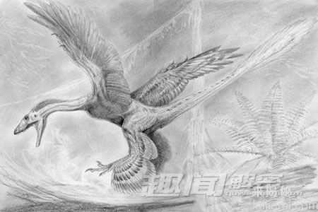 盘点古代地球十大有羽恐龙 中国鸟龙上榜353 / 作者:UFO来啦 / 帖子ID:65133