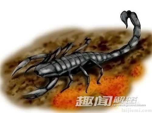盘点：曾生活在地球上的八大“神兽”258 / 作者:UFO来啦 / 帖子ID:65233