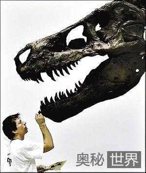 新证据证明鸡是霸王龙后代824 / 作者:UFO爱好者 / 帖子ID:66615 新证据证明鸡是霸王龙后代824 / 作者:UFO爱好者 / 帖子ID:66615