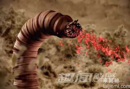 山羊吸血怪？揭世界6大神秘生物28 / 作者:UFO来啦 / 帖子ID:63616