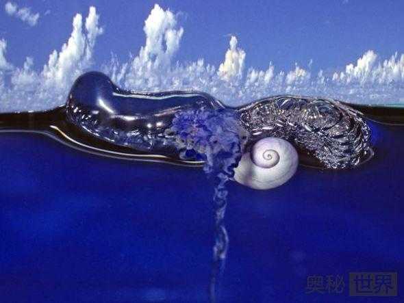 奇特蜗牛自制气泡筏在海中冲浪310 / 作者:UFO来啦 / 帖子ID:63455