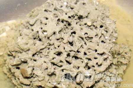 神奇!盘点12种有特异功能的动物(组图)967 / 作者:UFO来啦 / 帖子ID:65284