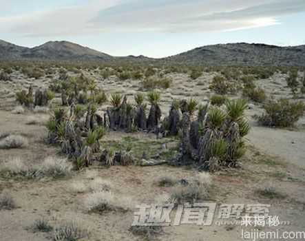 盘点：地球上那些穿越千年的古老生物596 / 作者:UFO来啦 / 帖子ID:65230