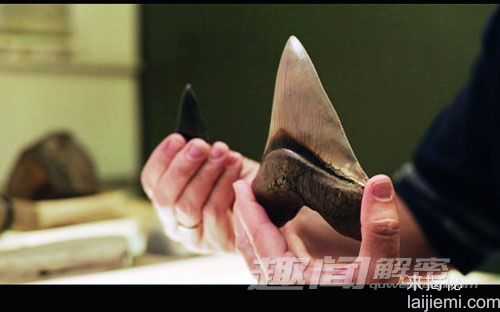 奇闻！史前巨齿大鲨鱼竟复活247 / 作者:UFO来啦 / 帖子ID:63473