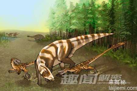 盘点：2015年发现的九大恐龙物种85 / 作者:UFO来啦 / 帖子ID:65201