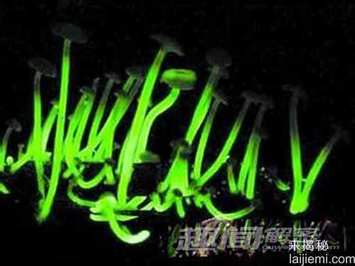 日本惊现会发绿光的蘑菇601 / 作者:UFO来啦 / 帖子ID:64117