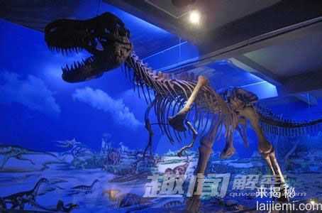 恐龙灭绝的真正原因：陨星碰撞910 / 作者:UFO来啦 / 帖子ID:63805