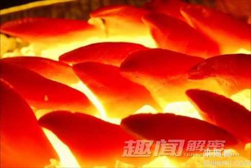 藏在深海里的罕见动物秘密生活448 / 作者:UFO来啦 / 帖子ID:65698