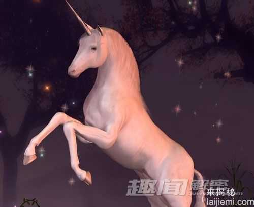 探寻传说中独角兽真实存在之谜763 / 作者:UFO来啦 / 帖子ID:63896