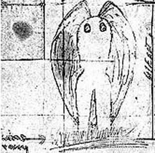 走进科学 揭秘地球上那些神秘的生物548 / 作者:UFO来啦 / 帖子ID:65853