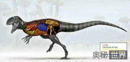25种最迷人的远古生物793 / 作者:UFO来啦 / 帖子ID:61211