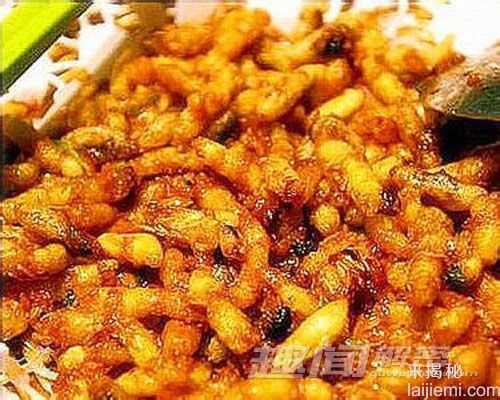 奇特蚂蚁首尾相连，共同托运大型猎物692 / 作者:UFO来啦 / 帖子ID:63456