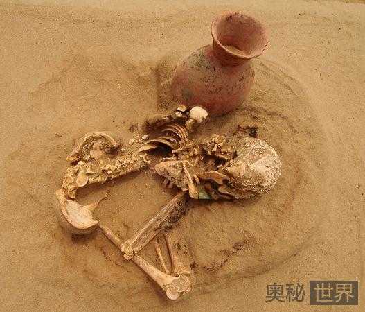 秘鲁发现恐怖人祭墓道24 / 作者:UFO来啦 / 帖子ID:65372