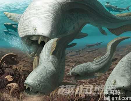 千年难遇：世界上已灭绝的古怪生物992 / 作者:UFO来啦 / 帖子ID:62511