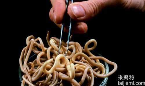 可怕！盘点最常见的十大人体寄生虫564 / 作者:UFO来啦 / 帖子ID:62723