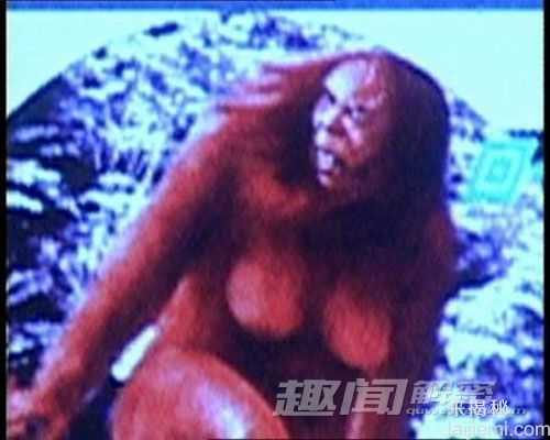 神秘独特的生物 揭俄罗斯女野人之谜848 / 作者:UFO来啦 / 帖子ID:65304