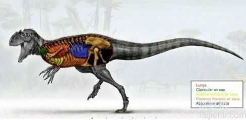 前所未闻！地球上25个奇异的史前生物_1474 / 作者:UFO来啦 / 帖子ID:62414