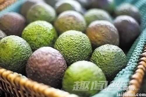 千奇百怪的特色水果 你吃过几种？792 / 作者:UFO外星人爱好者 / 帖子ID:60200