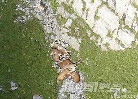 全球离奇事件-外星人劫持马航-787 / 作者:UFO来啦 / 帖子ID:62294