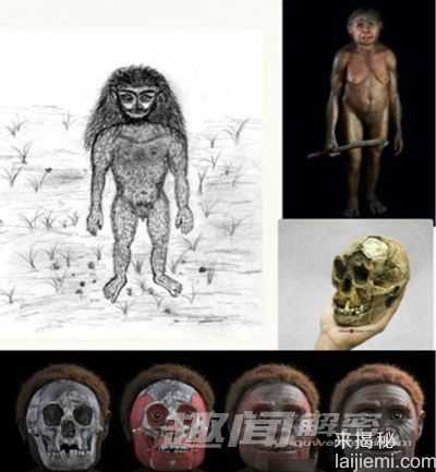 人类未解之谜：印尼神秘“小脚怪”之谜551 / 作者:UFO来啦 / 帖子ID:62063