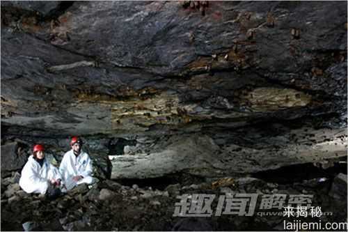 全球令人震惊的动物集体离奇死亡事件584 / 作者:UFO来啦 / 帖子ID:62202