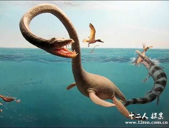 蛇颈龙：侏罗纪的海洋霸主，身长5米，尼斯湖水怪真身？61 / 作者:UFO外星人爱好者 / 帖子ID:60165