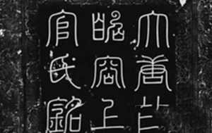 你不知道的10大历史真相490 / 作者:UFO来啦 / 帖子ID:62161