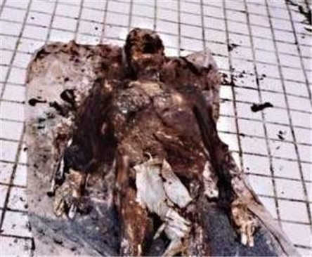 1995年成都出现僵尸，向周边市县扩散，后来被消灭了986 / 作者:UFO来啦 / 帖子ID:61098