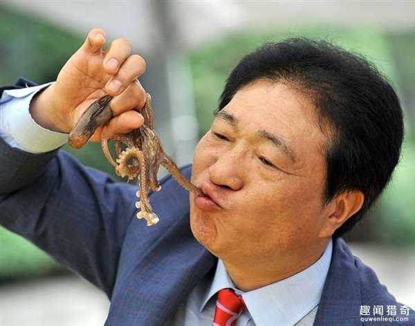 章鱼：世界最牛动物，3个心脏和9个大脑100 / 作者:UFO来啦 / 帖子ID:65427