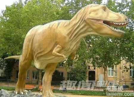 十大灭绝动物：爱尔兰大鹿7700年前灭绝814 / 作者:UFO来啦 / 帖子ID:62347