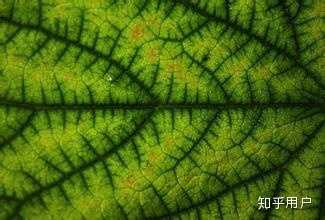 圆周率 π 是否隐藏了本个宇宙的设计者留给这个宇宙的智慧文明的某种信息？694 / 作者:aaron_cybertime / 帖子ID:55996