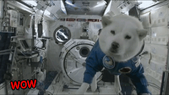 是什么力量让星球都悬浮在太空中，它们会掉下去吗？会掉到哪里去呢？229 / 作者:fishbiscuit456 / 帖子ID:56013