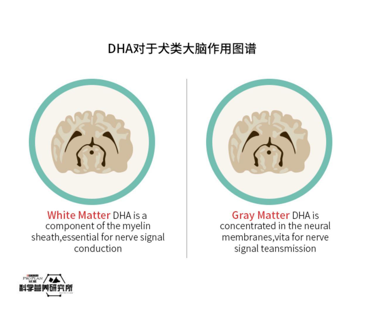 探索前沿生命科学 以科学营养为宠物生命赋能472 / 作者:东未红 / 帖子ID:56045