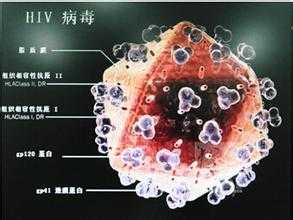 「细菌」和「病毒」有什么区别？758 / 作者:平衡才能持久 / 帖子ID:56050