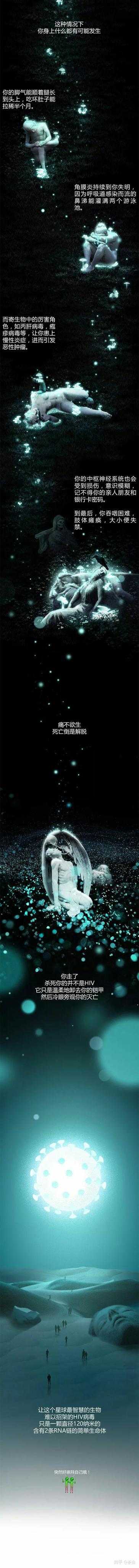 HIV病毒到底是哪里来的?38 / 作者:掌舵的鱼1987 / 帖子ID:56054