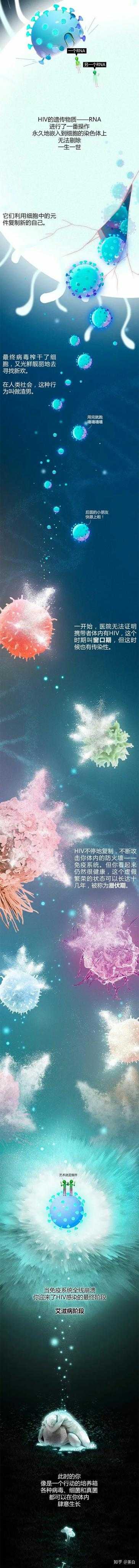 HIV病毒到底是哪里来的?913 / 作者:掌舵的鱼1987 / 帖子ID:56054