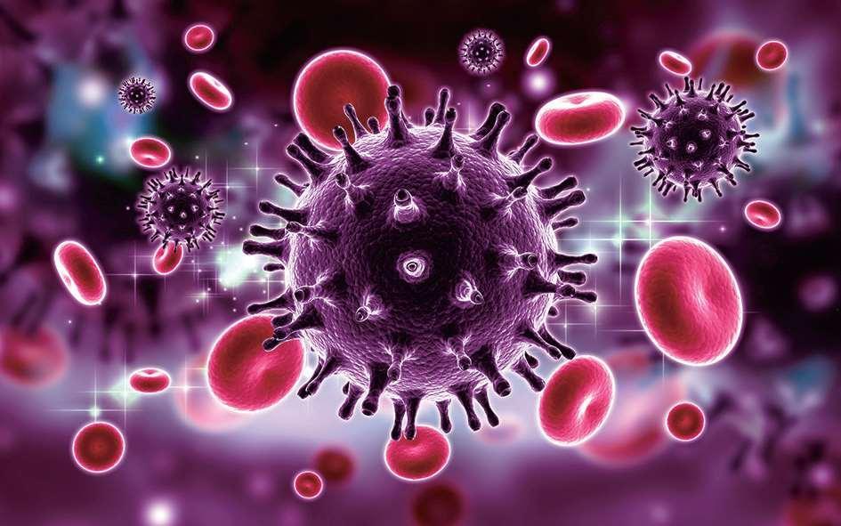 HIV病毒到底是哪里来的?860 / 作者:王胜军 / 帖子ID:56054