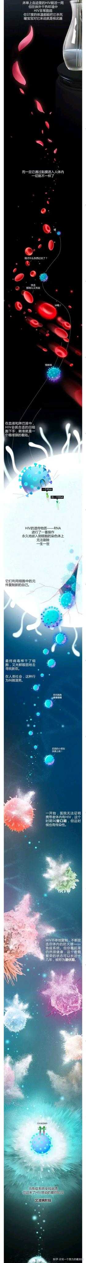 HIV病毒到底是哪里来的?434 / 作者:iabajofbwe / 帖子ID:56054