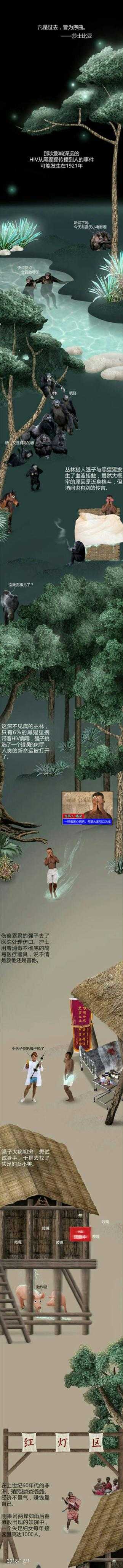 HIV病毒到底是哪里来的?653 / 作者:井底燕雀傥 / 帖子ID:56054